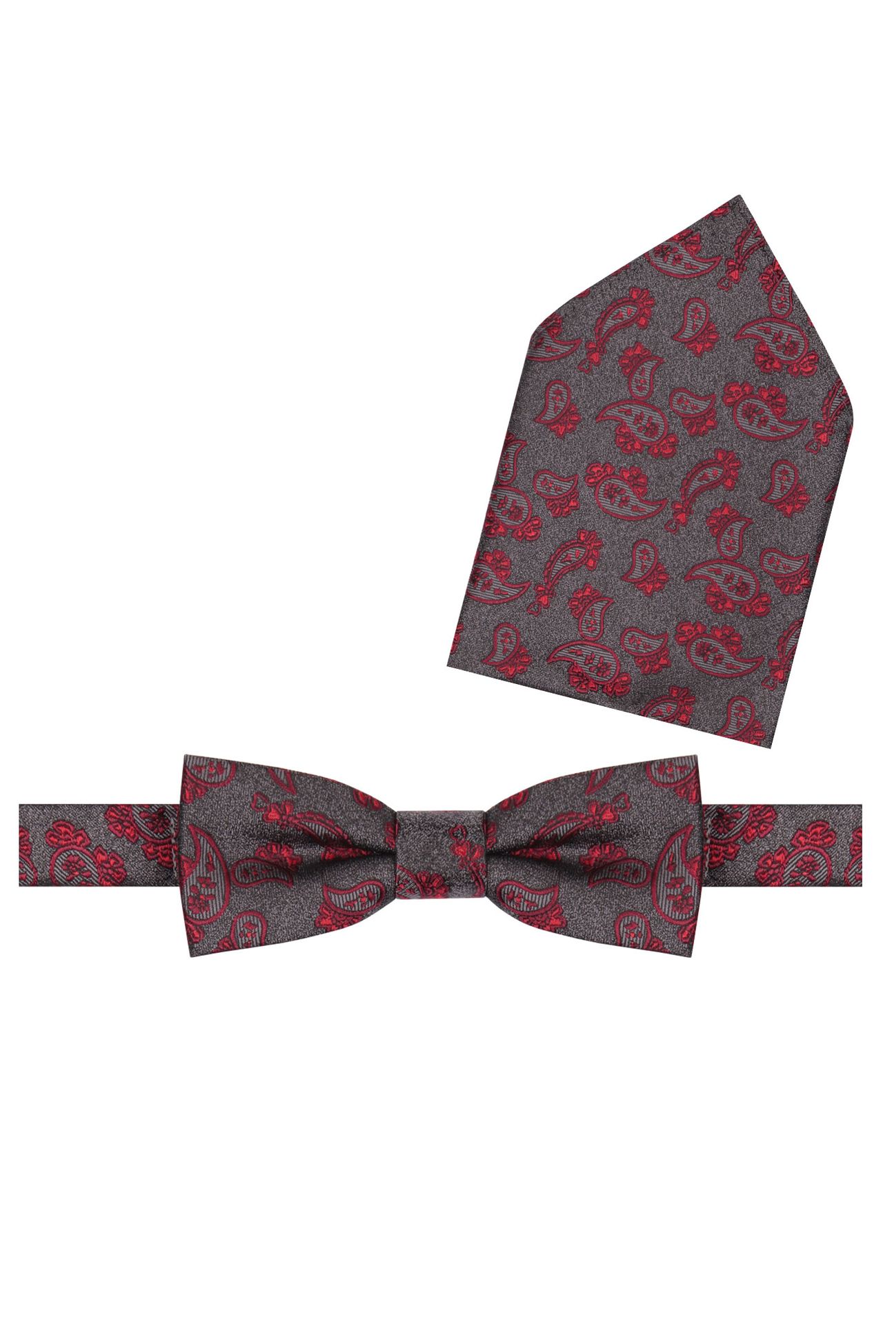 Fliege mit Einstecktuch