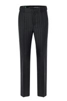 Stresemann-Hose, Normalbund