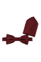 Fliege mit Einstecktuch