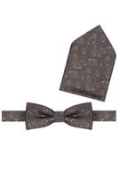 Fliege mit Einstecktuch