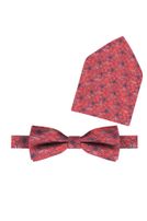 Fliege/Teener/stumpf/Einsteckt