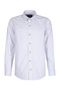 65 - white/schilf